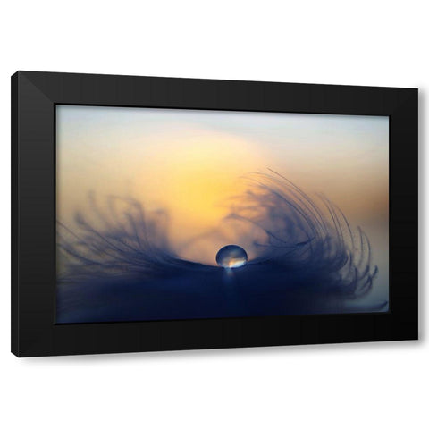 Morning Black Modern Wood Framed Art Print by Loorits, Peep