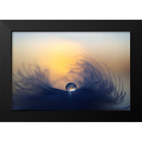 Morning Black Modern Wood Framed Art Print by Loorits, Peep