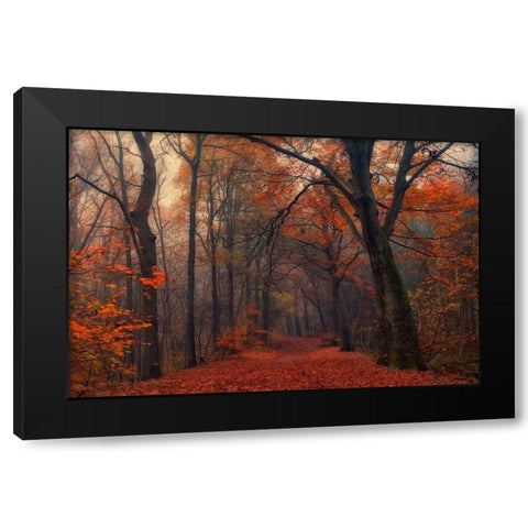 Decorative Forest Black Modern Wood Framed Art Print by Van Dongen, Anton