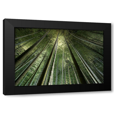 Bamboo Night Black Modern Wood Framed Art Print with Double Matting by Marumoto, Takeshi
