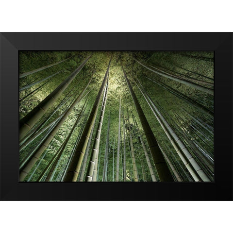 Bamboo Night Black Modern Wood Framed Art Print by Marumoto, Takeshi