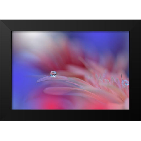 Colorful Explosion... Black Modern Wood Framed Art Print by Nan, Juliana