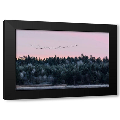 Heading South Black Modern Wood Framed Art Print with Double Matting by Emanuelson, Bjorn
