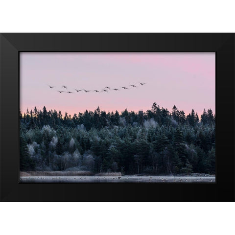 Heading South Black Modern Wood Framed Art Print by Emanuelson, Bjorn