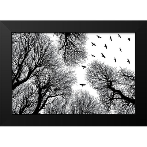 Out To The Open Black Modern Wood Framed Art Print by Damsten, Petri