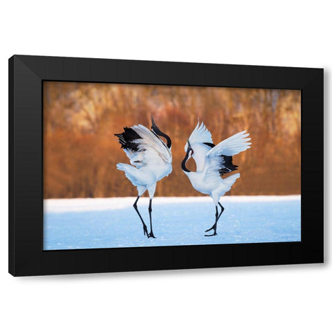 The Dance Of Love Black Modern Wood Framed Art Print with Double Matting by Mei, C.