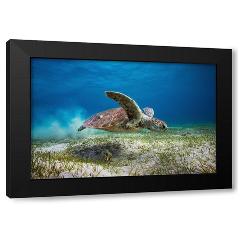 Take Off Black Modern Wood Framed Art Print by Gabriel, Barathieu