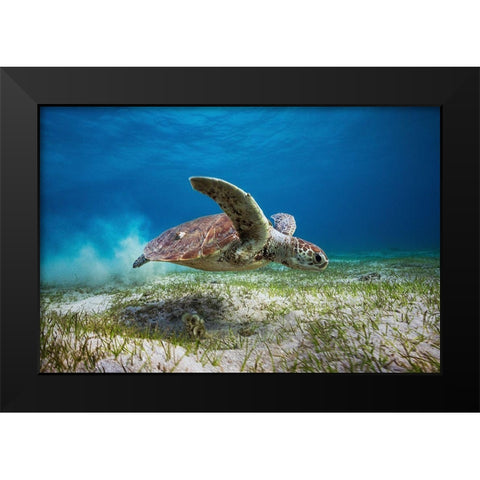 Take Off Black Modern Wood Framed Art Print by Gabriel, Barathieu