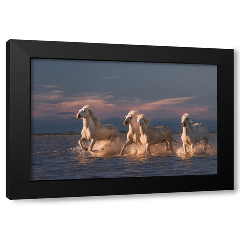 Angels Of Camargue Black Modern Wood Framed Art Print by Anton, Rostovskiy