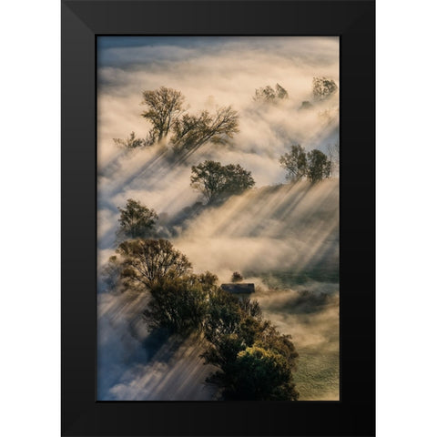 Slalom Light Black Modern Wood Framed Art Print by Marini, Roberto