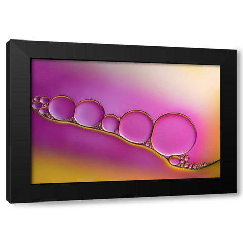 Sweet Blush Black Modern Wood Framed Art Print with Double Matting by Westum, Heidi