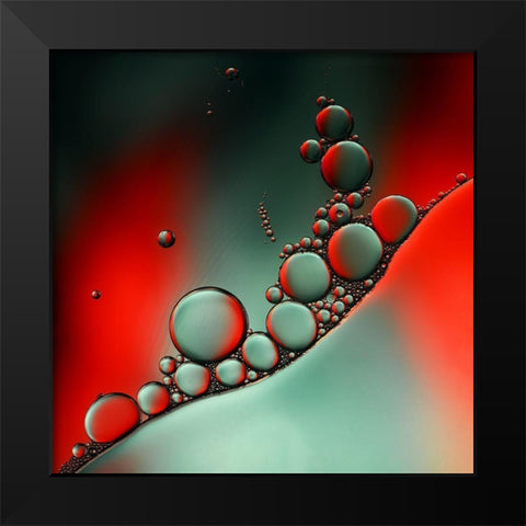 Color Adaptation Black Modern Wood Framed Art Print by Westum, Heidi