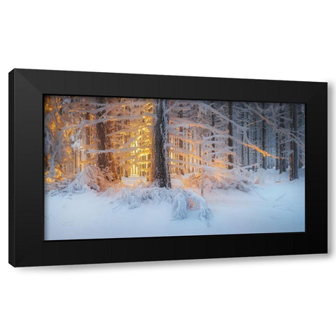 Silent Dream Black Modern Wood Framed Art Print by Jochen, Burger