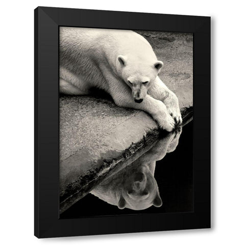 Who Is That Beauty In The Water Black Modern Wood Framed Art Print by Wallberg, Allan