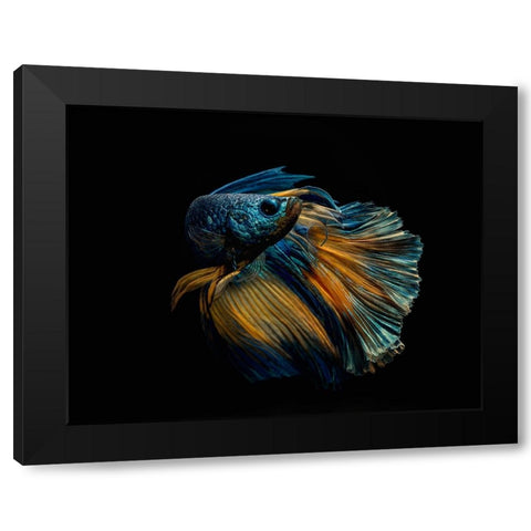 My Dress Black Modern Wood Framed Art Print with Double Matting by Halil, Andi