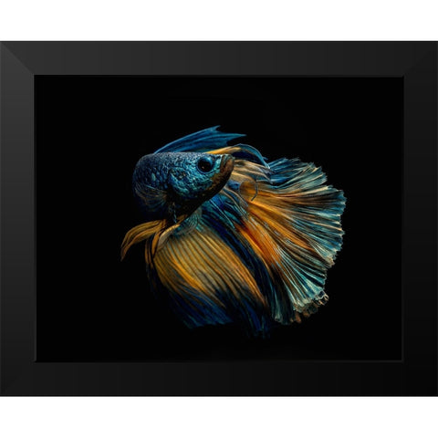 My Dress Black Modern Wood Framed Art Print by Halil, Andi