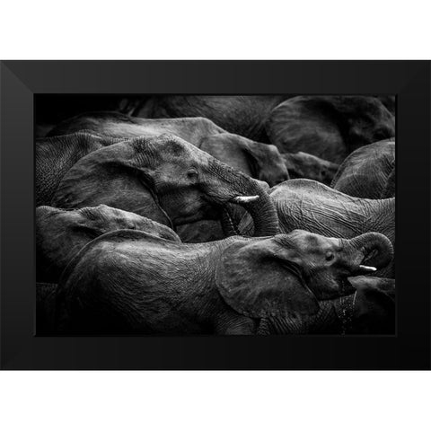 Elephant Herd Black Modern Wood Framed Art Print by Eriksson, Denise