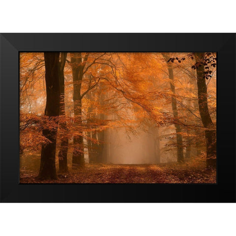 Schmorgenforgen Black Modern Wood Framed Art Print by Van De, Lars