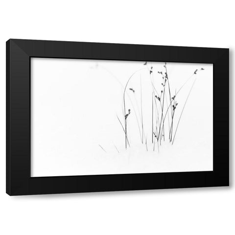 Black On White Black Modern Wood Framed Art Print by Ljubicic, Dusan
