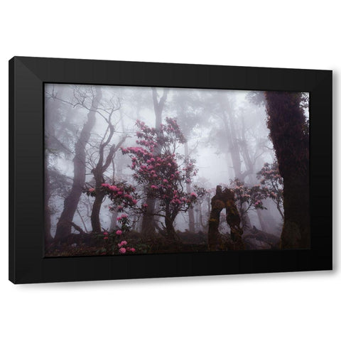 Through The Fog Black Modern Wood Framed Art Print with Double Matting by Kupratsevich, Dmitry