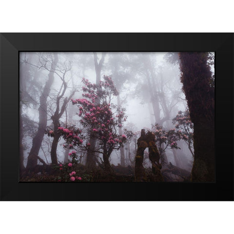 Through The Fog Black Modern Wood Framed Art Print by Kupratsevich, Dmitry