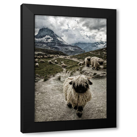 Out Of My Way Black Modern Wood Framed Art Print with Double Matting by Landolt, Susanne