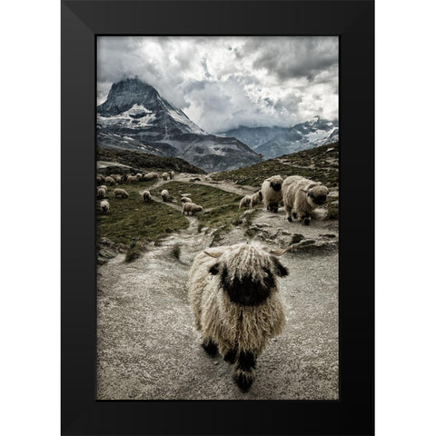 Out Of My Way Black Modern Wood Framed Art Print by Landolt, Susanne