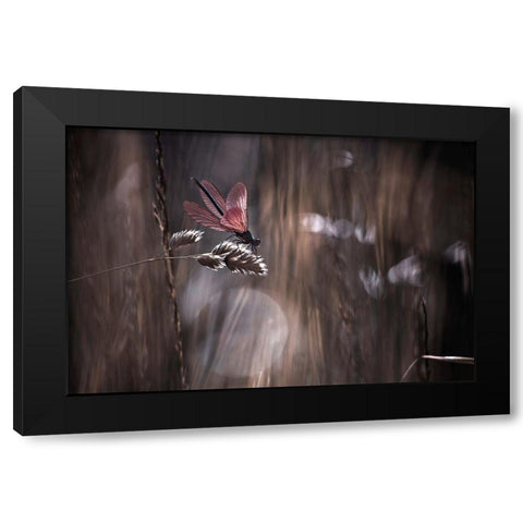 Le Point De Suspension Black Modern Wood Framed Art Print by Bravin, Fabien