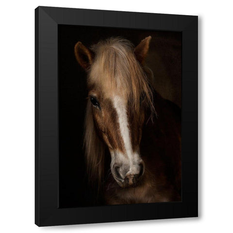 Sapience Black Modern Wood Framed Art Print by Benezech, Martine