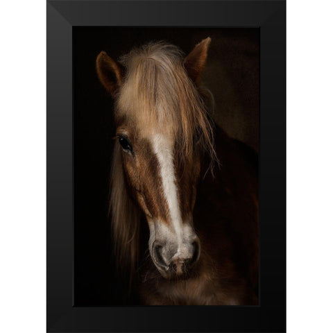 Sapience Black Modern Wood Framed Art Print by Benezech, Martine