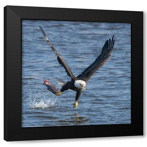 Lunch Over Mississippi Black Modern Wood Framed Art Print with Double Matting by Fan, John