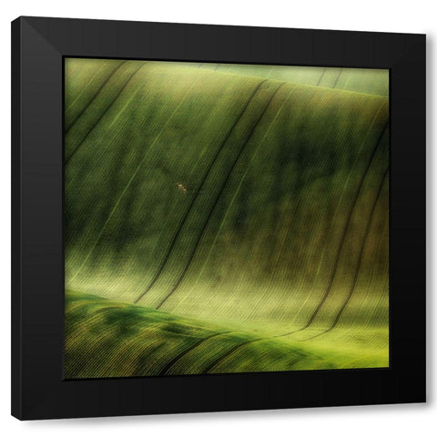 Green Fields Black Modern Wood Framed Art Print by Krol, Piotr