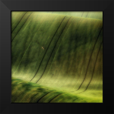 Green Fields Black Modern Wood Framed Art Print by Krol, Piotr