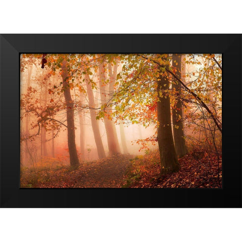 Calm Walk In Colors. Black Modern Wood Framed Art Print by Londal, Leif