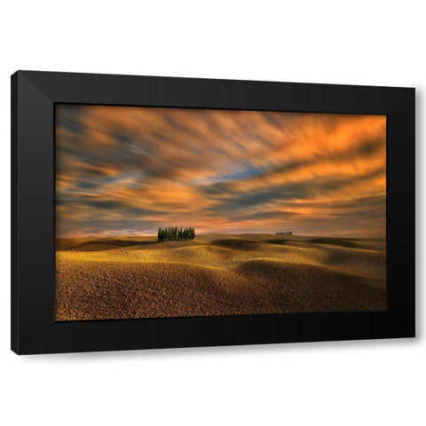 Cypresses... Black Modern Wood Framed Art Print with Double Matting by Browko, Krzysztof