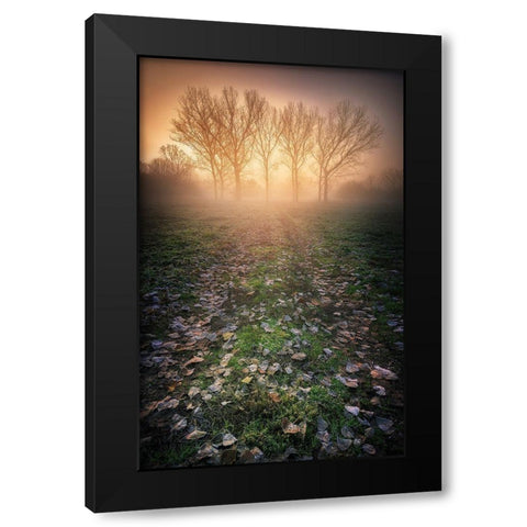 Misty Morning Black Modern Wood Framed Art Print with Double Matting by Rebustini, Luca