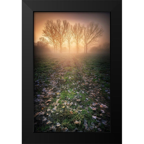 Misty Morning Black Modern Wood Framed Art Print by Rebustini, Luca