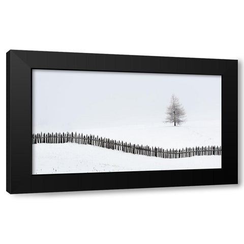 The Larch Behind The Fence Black Modern Wood Framed Art Print by Miribung, Vito