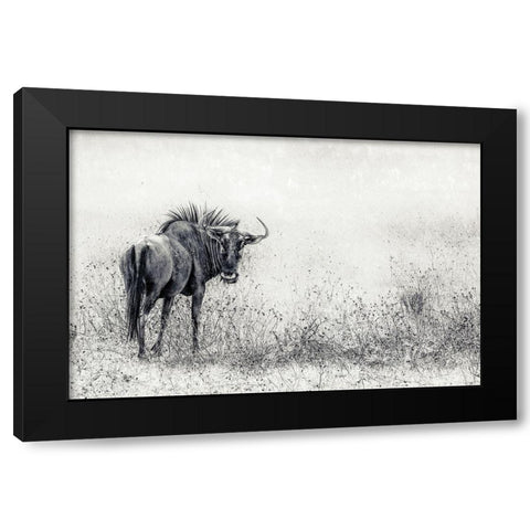 The Endless Grass-Fields Black Modern Wood Framed Art Print by Flour, Piet
