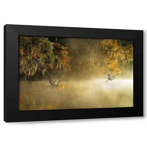 Egret Black Modern Wood Framed Art Print with Double Matting by Zhu, Hua