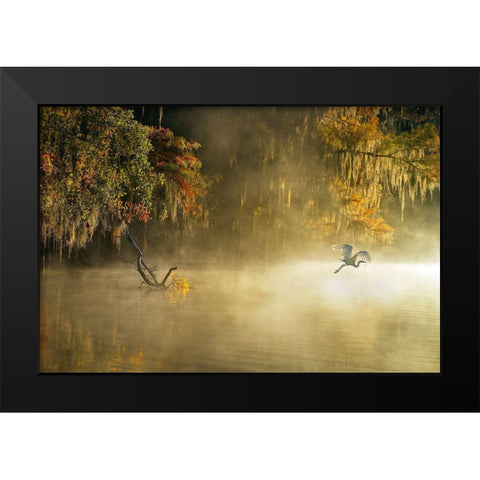 Egret Black Modern Wood Framed Art Print by Zhu, Hua