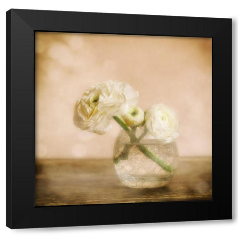 Renoncules Black Modern Wood Framed Art Print by Stas, Marie-Anne