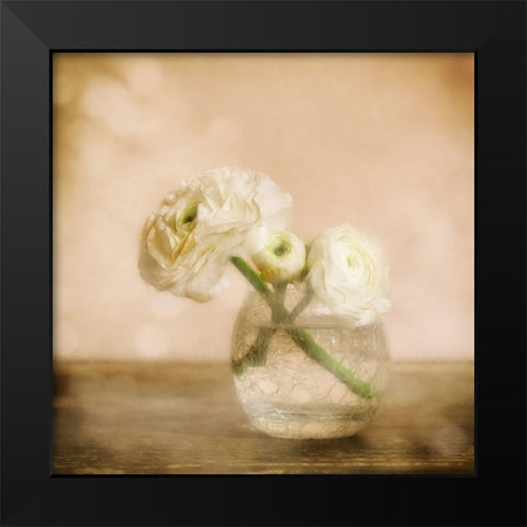 Renoncules Black Modern Wood Framed Art Print by Stas, Marie-Anne