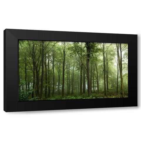 Forest... Black Modern Wood Framed Art Print with Double Matting by Londal, Leif