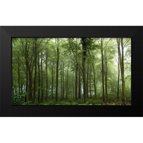Forest... Black Modern Wood Framed Art Print by Londal, Leif