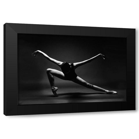Soaring Black Modern Wood Framed Art Print with Double Matting by Alexandr