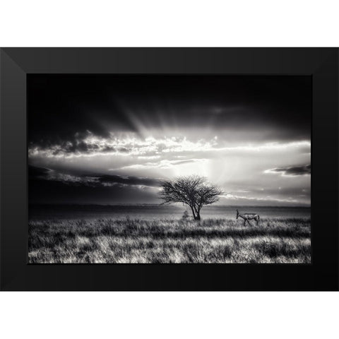 Sunrise With Hartebeest Black Modern Wood Framed Art Print by Flour, Piet