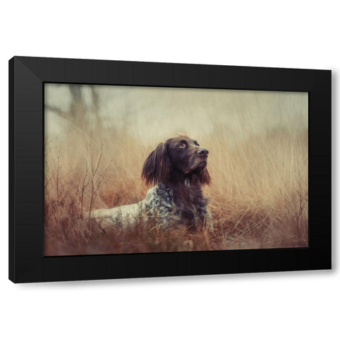 Beautiful Aragorn Black Modern Wood Framed Art Print with Double Matting by Willers, Heike