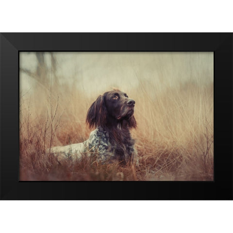 Beautiful Aragorn Black Modern Wood Framed Art Print by Willers, Heike