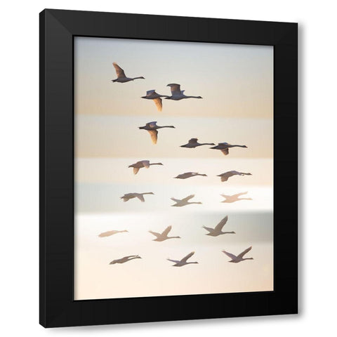 Past The Sun. Black Modern Wood Framed Art Print with Double Matting by Londal, Leif